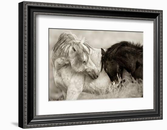 The Long Goodbye-Lisa Dearing-Framed Photographic Print