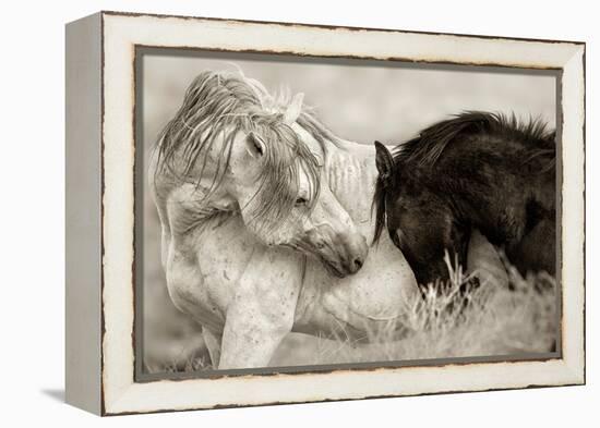 The Long Goodbye-Lisa Dearing-Framed Premier Image Canvas