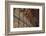 The Long Room in the library of Trinity College, Dublin, Republic of Ireland, Europe-Nigel Hicks-Framed Photographic Print