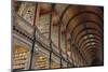 The Long Room in the library of Trinity College, Dublin, Republic of Ireland, Europe-Nigel Hicks-Mounted Photographic Print