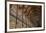 The Long Room in the library of Trinity College, Dublin, Republic of Ireland, Europe-Nigel Hicks-Framed Photographic Print