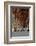 The Long Room in the library of Trinity College, Dublin, Republic of Ireland, Europe-Nigel Hicks-Framed Photographic Print