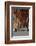 The Long Room in the library of Trinity College, Dublin, Republic of Ireland, Europe-Nigel Hicks-Framed Photographic Print