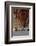 The Long Room in the library of Trinity College, Dublin, Republic of Ireland, Europe-Nigel Hicks-Framed Photographic Print