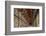 The Long Room in the library of Trinity College, Dublin, Republic of Ireland, Europe-Nigel Hicks-Framed Photographic Print