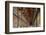 The Long Room in the library of Trinity College, Dublin, Republic of Ireland, Europe-Nigel Hicks-Framed Photographic Print