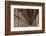 The Long Room in the library of Trinity College, Dublin, Republic of Ireland, Europe-Nigel Hicks-Framed Photographic Print