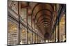 The Long Room in the library of Trinity College, Dublin, Republic of Ireland, Europe-Nigel Hicks-Mounted Photographic Print