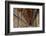 The Long Room in the library of Trinity College, Dublin, Republic of Ireland, Europe-Nigel Hicks-Framed Photographic Print