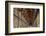 The Long Room in the library of Trinity College, Dublin, Republic of Ireland, Europe-Nigel Hicks-Framed Photographic Print