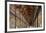 The Long Room in the library of Trinity College, Dublin, Republic of Ireland, Europe-Nigel Hicks-Framed Photographic Print