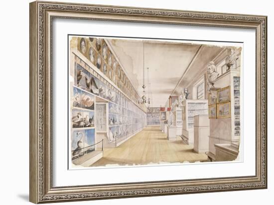 The Long Room, Interior of Front Room in Peale's Museum, 1822 (W/C over Graphite on Paper)-Charles Willson Peale-Framed Giclee Print