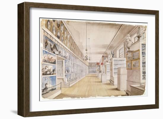 The Long Room, Interior of Front Room in Peale's Museum, 1822 (W/C over Graphite on Paper)-Charles Willson Peale-Framed Giclee Print