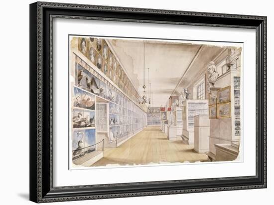 The Long Room, Interior of Front Room in Peale's Museum, 1822 (W/C over Graphite on Paper)-Charles Willson Peale-Framed Giclee Print