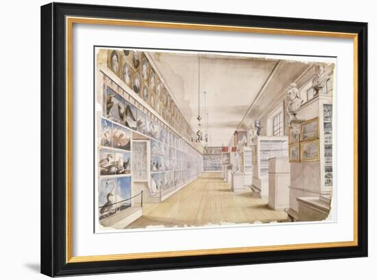 The Long Room, Interior of Front Room in Peale's Museum, 1822 (W/C over Graphite on Paper)-Charles Willson Peale-Framed Giclee Print