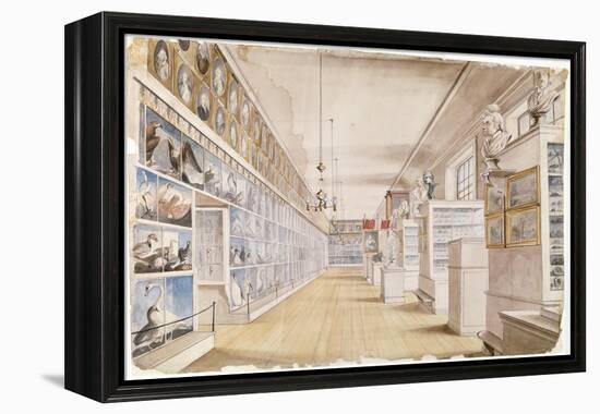 The Long Room, Interior of Front Room in Peale's Museum, 1822 (W/C over Graphite on Paper)-Charles Willson Peale-Framed Premier Image Canvas