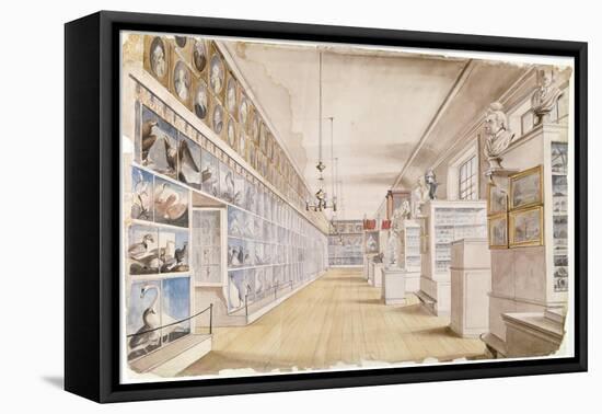 The Long Room, Interior of Front Room in Peale's Museum, 1822 (W/C over Graphite on Paper)-Charles Willson Peale-Framed Premier Image Canvas