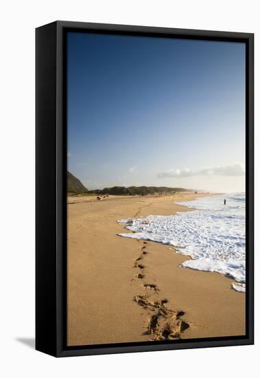 The Long Stretches of Beach, Polihale State Beach Park, Kauai, Hawaii-Micah Wright-Framed Premier Image Canvas