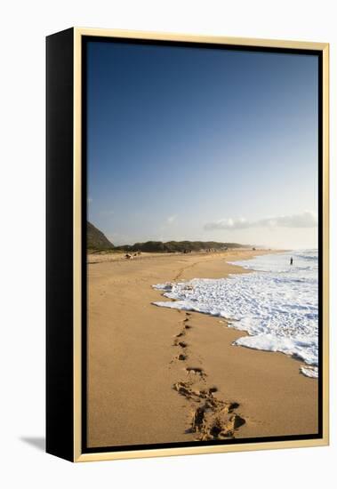 The Long Stretches of Beach, Polihale State Beach Park, Kauai, Hawaii-Micah Wright-Framed Premier Image Canvas