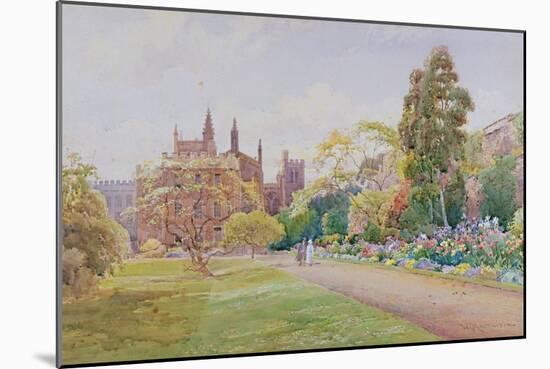 The Long Walk and Flower Border in May - New College, Oxford, C.1918-William Matthison-Mounted Giclee Print