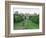 The Long Walk and Windsor Castle, Windsor, Berkshire, England, United Kingdom-Adam Woolfitt-Framed Photographic Print