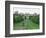 The Long Walk and Windsor Castle, Windsor, Berkshire, England, United Kingdom-Adam Woolfitt-Framed Photographic Print