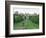 The Long Walk and Windsor Castle, Windsor, Berkshire, England, United Kingdom-Adam Woolfitt-Framed Photographic Print