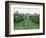 The Long Walk and Windsor Castle, Windsor, Berkshire, England, United Kingdom-Adam Woolfitt-Framed Photographic Print