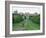 The Long Walk and Windsor Castle, Windsor, Berkshire, England, United Kingdom-Adam Woolfitt-Framed Photographic Print