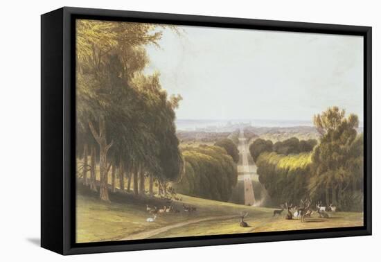 The Long Walk, Windsor Park, from a Compilation of Views of Windsor, Eton and Virginia Water,…-William Daniell-Framed Premier Image Canvas