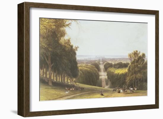 The Long Walk, Windsor Park, from a Compilation of Views of Windsor, Eton and Virginia Water,…-William Daniell-Framed Giclee Print