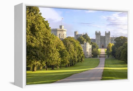 The Long Walk with Windsor Castle in the Background, Windsor, Berkshire, England-Charlie Harding-Framed Premier Image Canvas