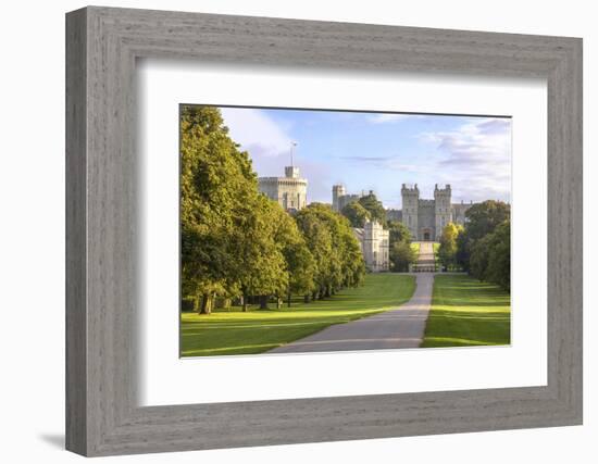 The Long Walk with Windsor Castle in the Background, Windsor, Berkshire, England-Charlie Harding-Framed Photographic Print