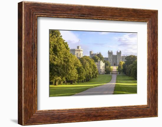 The Long Walk with Windsor Castle in the Background, Windsor, Berkshire, England-Charlie Harding-Framed Photographic Print