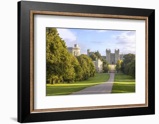 The Long Walk with Windsor Castle in the Background, Windsor, Berkshire, England-Charlie Harding-Framed Photographic Print