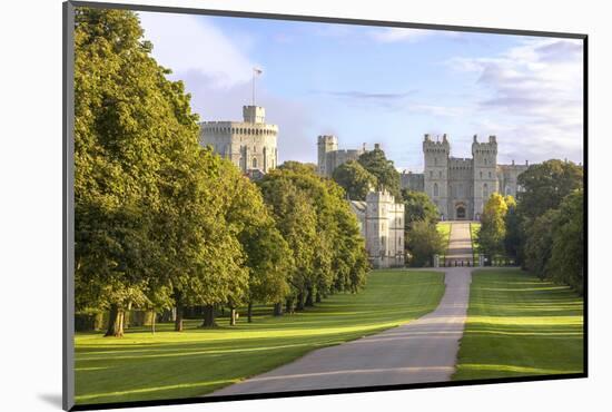 The Long Walk with Windsor Castle in the Background, Windsor, Berkshire, England-Charlie Harding-Mounted Photographic Print