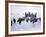 The Longest Day, 1962-null-Framed Photo