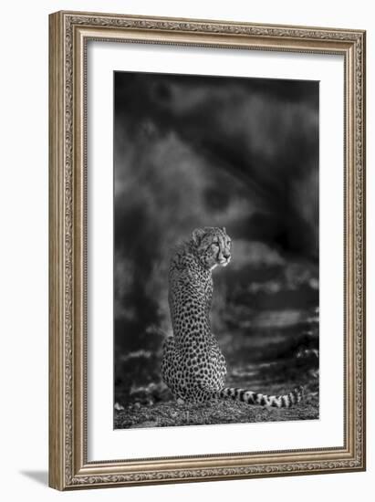 The Look Back-Jaco Marx-Framed Giclee Print