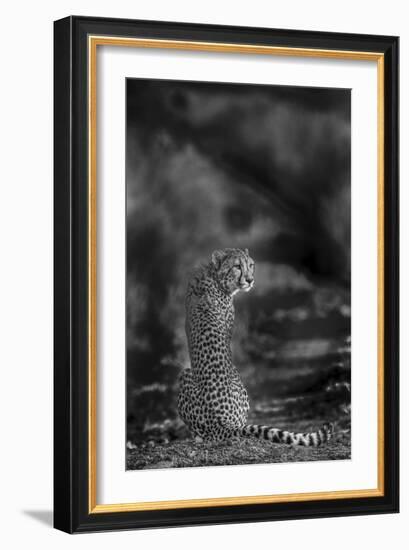 The Look Back-Jaco Marx-Framed Giclee Print