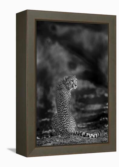 The Look Back-Jaco Marx-Framed Premier Image Canvas