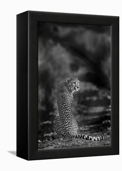 The Look Back-Jaco Marx-Framed Premier Image Canvas