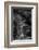 The Look Back-Jaco Marx-Framed Photographic Print