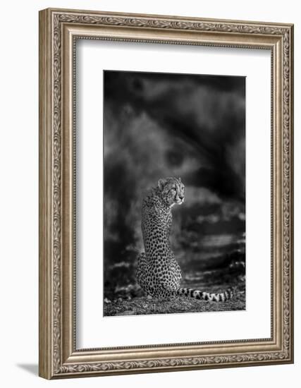 The Look Back-Jaco Marx-Framed Photographic Print