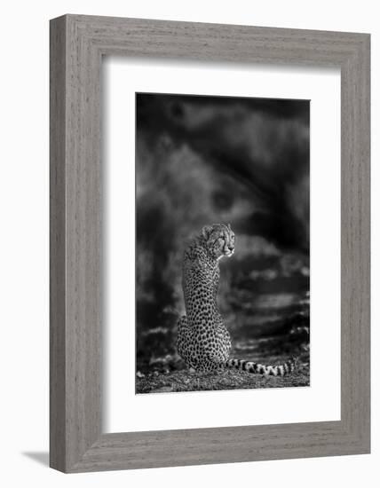 The Look Back-Jaco Marx-Framed Photographic Print