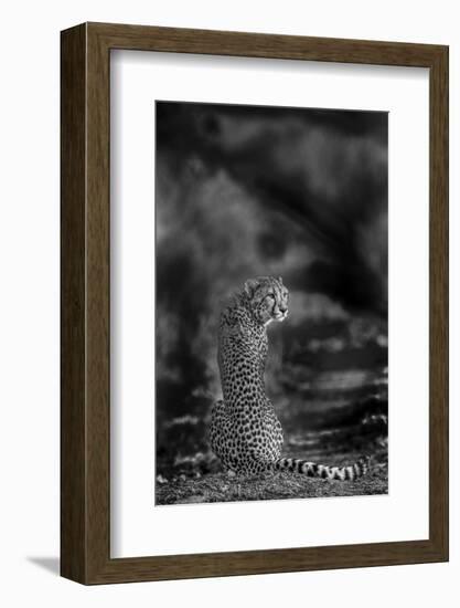 The Look Back-Jaco Marx-Framed Photographic Print