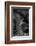 The Look Back-Jaco Marx-Framed Photographic Print