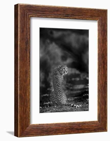 The Look Back-Jaco Marx-Framed Photographic Print