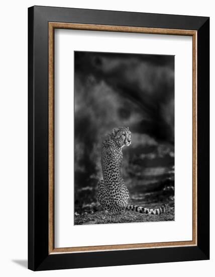 The Look Back-Jaco Marx-Framed Photographic Print