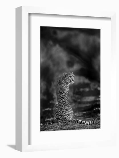 The Look Back-Jaco Marx-Framed Photographic Print