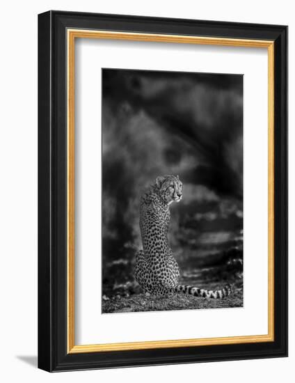 The Look Back-Jaco Marx-Framed Photographic Print